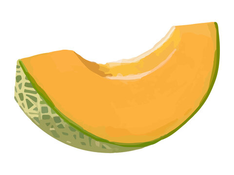 手描き厚塗りで果肉の厚みを表現した赤肉メロンの1片くし切りイラスト