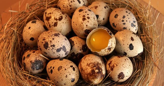 Quail eggs on a hay background, close-up footage on a rotating table. Half a quail egg among a pile of whole ones.