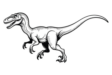 A detailed black and white illustration of a velociraptor dinosaur © seller