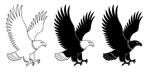 Obraz premium Bald eagle illustration set flying bird of prey American symbol detailed wings spread silhouettes