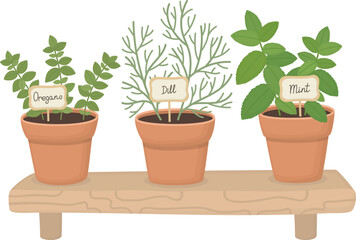 Obraz premium Illustration of potted herbs on wooden shelf. Fresh green oregano, dill and mint growing in pots 
