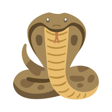 Cobra Snake Illustration Vector Template Design