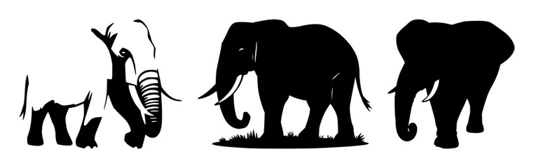Fototapeta premium Solid black icon, white background: wildlife conservation elephant set with simple line art design featuring line art, illustrations, graphic resources with vector and design elements