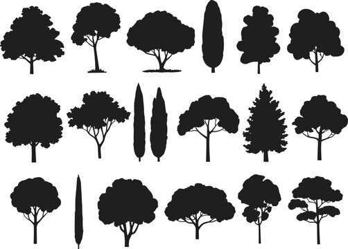 Various tree silhouettes set isolated on white background, collection of deciduous and conifer trees for landscape design, nature illustration, forestry, and environmental graphic projects