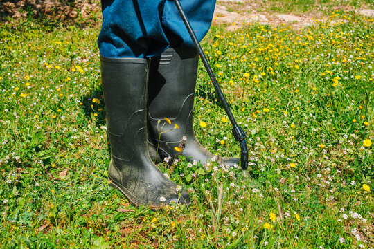 a spray nozzle releases herbicide on weeds