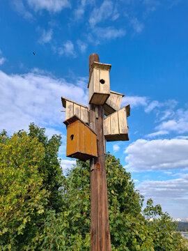 Many birdhouses on one pole. One black bird is flying in the sky