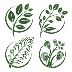 A set of green leaf and acorn illustrations in a minimalist flat design style © dog