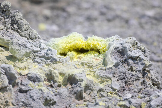 Sulfur deposit close up. Mendeleyev volcano. Kunashir. Russia