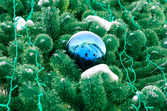 A blue shiny ball on a winter Christmas tree
