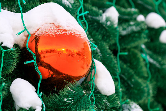Christmas tree decorations against green needles, natural winter daylight scene