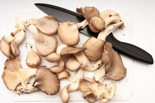 Fresh oyster mushrooms with black kitchen knife on cutting board on a white background-top view