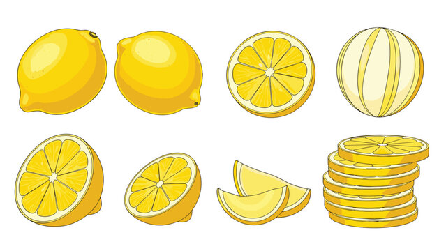 Set of lemon illustrations including whole fruits, halved lemons, quartered segments, and a stack of round slices on white background.