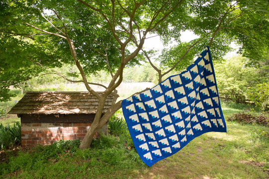 blue and white quilt draped on tree
