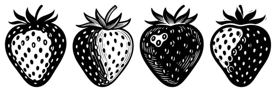 Strawberry Fruit Illustration Set, Fresh Garden Berry Engraved Style Vector, Sweet Summer Strawberries