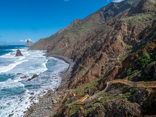 View from Benijo looking east toward the coastal cliffs. © Albert Schweitzer