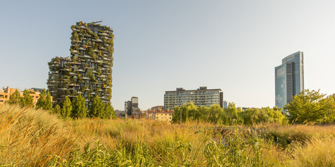 Fototapeta premium Milan, Italy - August 16, 2025: The skyscrapers of Porta Nuova, including the Bosco Verticale and Maire Tecnimont building, rise above the wild grasses of the Biblioteca degli Alberi park.
