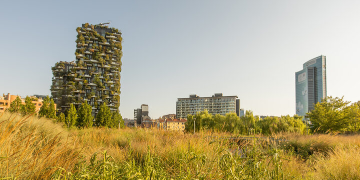 Milan, Italy - August 16, 2025: The skyscrapers of Porta Nuova, including the Bosco Verticale and Maire Tecnimont building, rise above the wild grasses of the Biblioteca degli Alberi park.