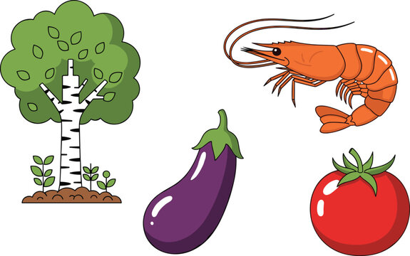 Set of Nature and Food Vector Illustrations Featuring Birch Tree, Shrubs, Eggplant, Red Tomato, and Cooked Shrimp for Gardening, Farming, and Culinary Designs