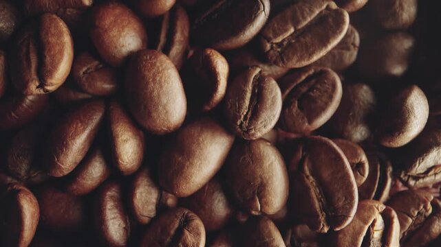 coffee beans static close up indoor not applicable video