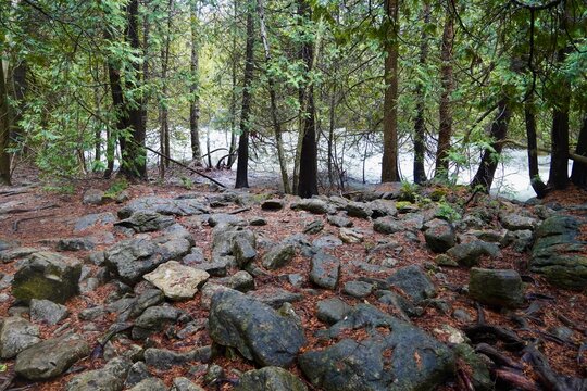 Rocky Terrain on the Bruce Trail on the Niagara Escarpment in Ontario Canada 