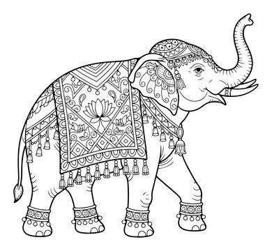 Ornate Decorated Indian Elephant with Traditional Mandala Patterns, Ethnic Tribal Animal Vector Illustration for Coloring