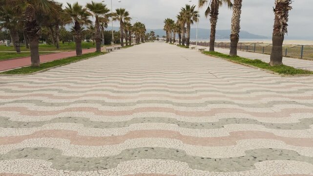 Soverato cycle pedestrian path with palm trees along the seafront in spring