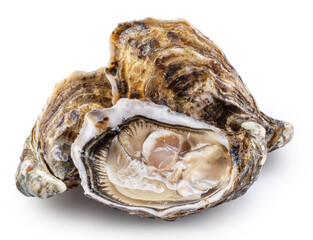 Opened oyster and closed raw oysters isolated on white background. Delicacy food. Clipping path. © volff