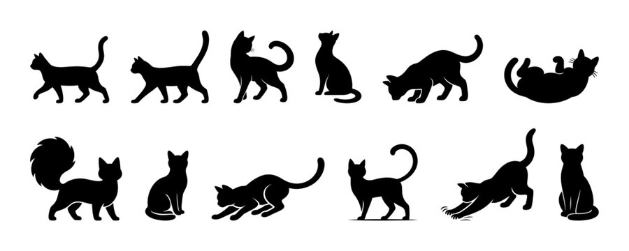 Cat silhouette set, black feline poses collection with walking sitting stretching playing grooming cats vector
