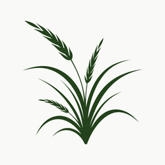 Fototapeta premium Fresh green rosemary sprig and herbal leaves isolated on a white background representing nature and growth