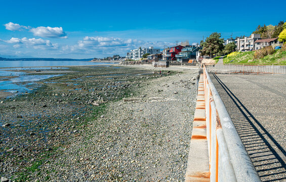 Low Tide Landscape 4
