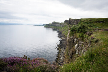 Coastal landscape featuring purple blooming heather in the foreground and dramatic basalt cliffs of Kilt Rock falling into the ocean, Scotland © torifedorova