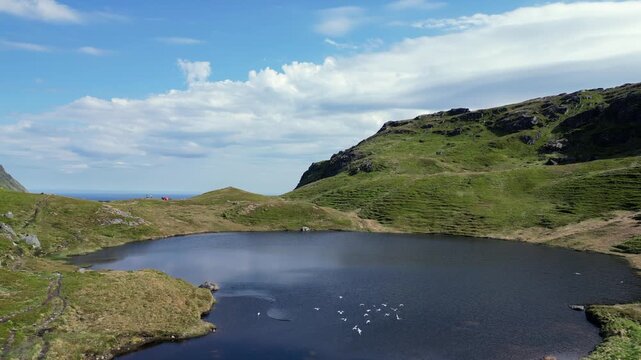 Aerial view of seagulls flying over Einangsvatnet, a mountain lake in Norway. The ocean is visible in the background from the summit. Lofoten islands.