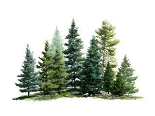 Obraz premium A group of lush green pine trees standing tall isolated on transparent background