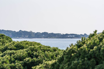 Coastal landscape with sea and green vegetation under soft sky © Jeremi MARIE