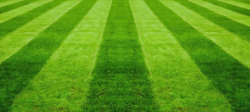 The Lawn With Vibrant Striped Mowing Pattern Stretching Into the Distance on a Sunny Day