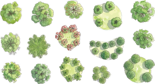 Set of Hand Drawn Watercolor Style Tree Top View Icons for Architectural Landscape Design and Site Planning