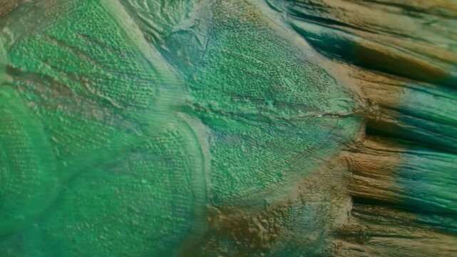 Parrotfish is a type of fish that is very important for the marine ecosystem.