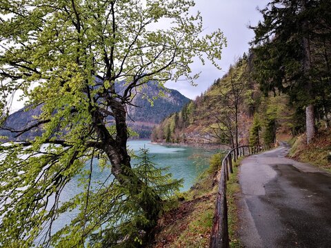Stra&szlig;e am Walchensee