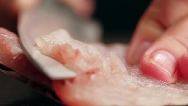 Cooking fish Peruvian ceviche close-up. Fresh cooked ceviche made of raw white fish. Traditional Peruvian cuisine. Cooking seafood dish.