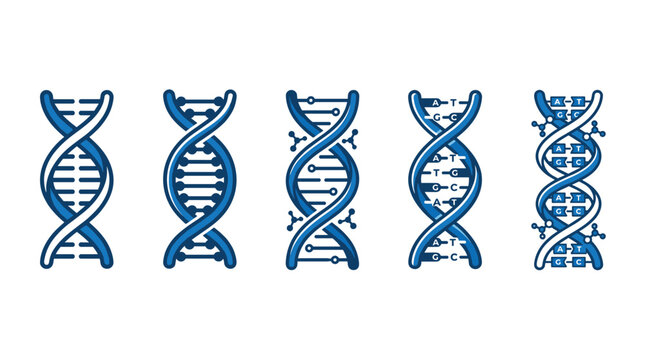 DNA double helix structures representing genetic code and scientific research, illustrating molecular biology and human genome concepts.