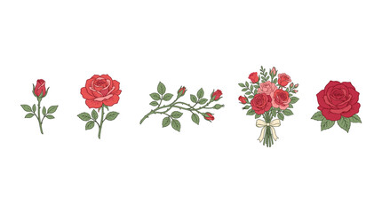 Fototapeta premium Beautiful hand drawn roses in various stages of bloom and arrangements, including buds, single flowers, branches, and a charming bouquet, perfect for elegant design projects.