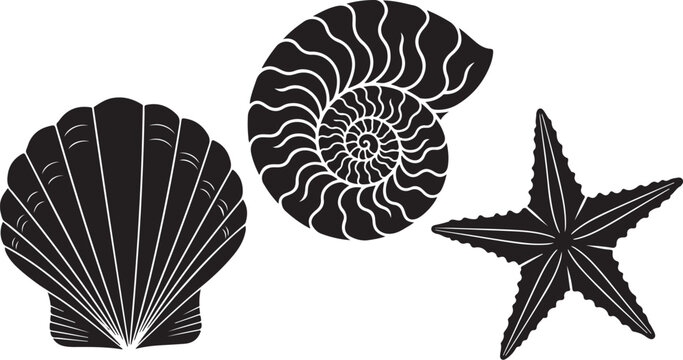 Black sea shell, starfish, and nautilus vector icons, ocean creatures, marine life, black and white illustrations, 3 shapes