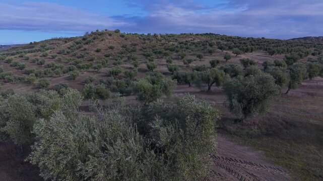 Aerial drone view of the landscape at Villalba Castle in the town of Cebolla, Toledo Province, Castile-La Mancha, Spain, Europe