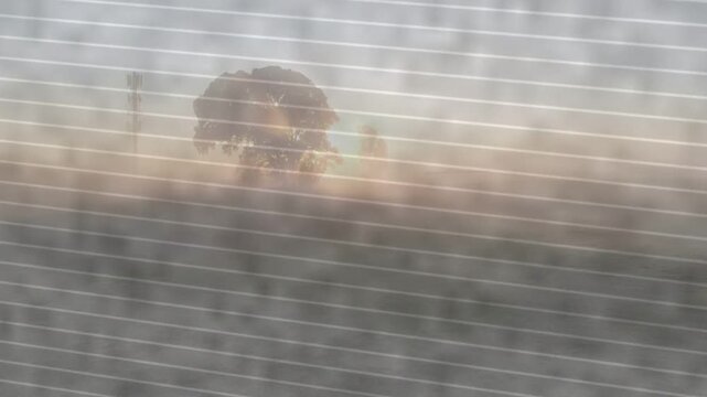 Solitary tree standing in fog, stripes shifting, fog thinning, revealing sun and tower for film