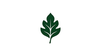 Fototapeta premium A simple green leaf icon on a white background