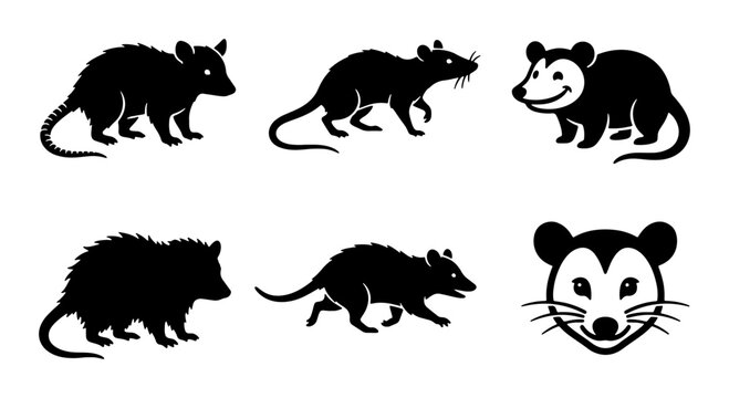 Opossum silhouette vector set, black marsupial icons and opossum head illustrations, 6 wildlife elements for nature logos and outdoor branding