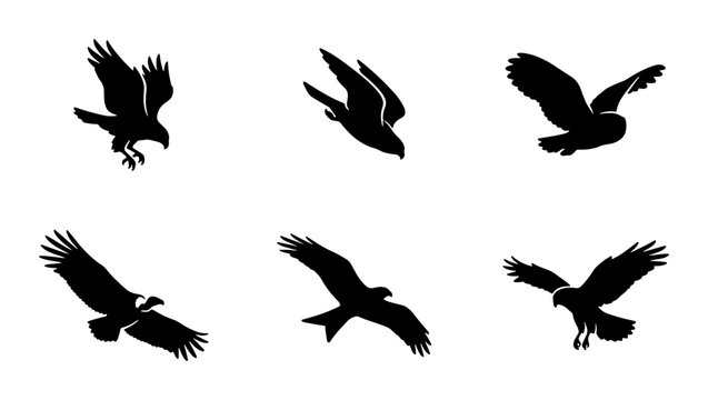 Black eagle silhouettes set, flying bird of prey vector icons, predatory hawk and falcon shapes, 6 wild raptor elements for logo design