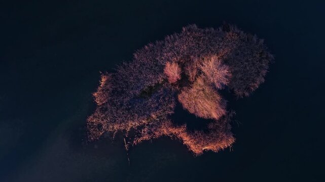Aerial view from a drone of the Alberche River near the Cazalegas Reservoir, close to the town of Cazalegas. Province of Toledo. Castile-La Mancha. Spain. Europe