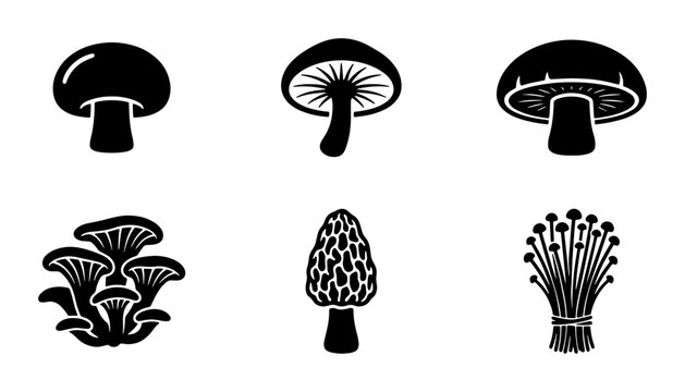 Minimalist mushroom icon set, black silhouette fungi collection, 6 vector mushroom illustrations including morel and oyster varieties for culinary design
