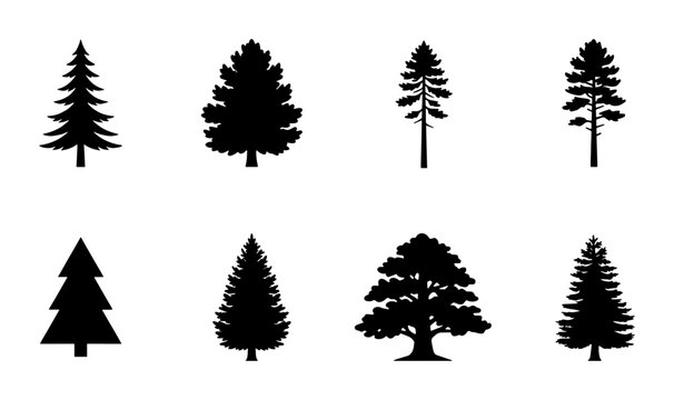 Pine tree silhouettes set, 8 black evergreen and coniferous tree icons, forest timber and woodland vegetation vector elements for outdoor design